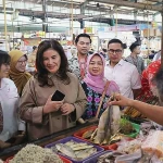Pemkot Tangsel dan Komisi IX DPR RI Pantau Keamanan Pangan di Pasar Modern BSD