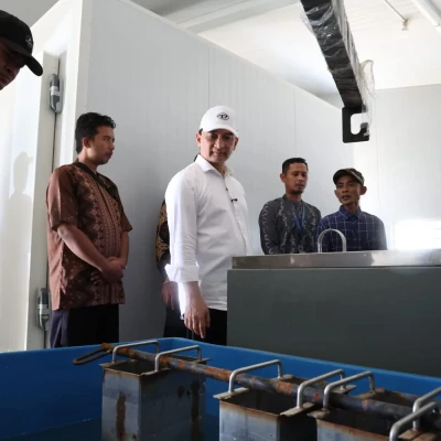 Nelayan Pandeglang Berharap Modernisasi Pesisir Tingkatkan Harga Jual Ikan