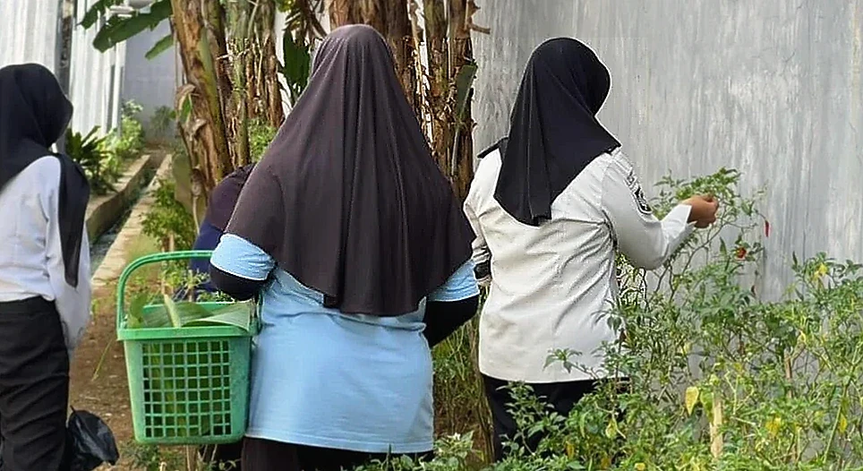 LPP Bengkulu Bekali Warga Binaan Keterampilan Produktif Lewat Panen Cabe