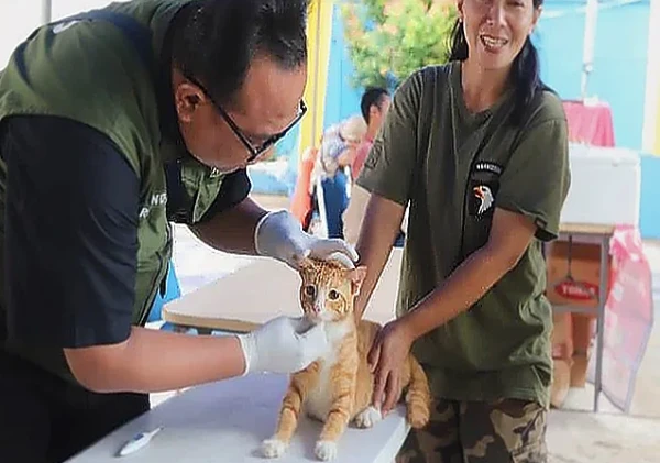 Pemkot Tangerang Gelar Vaksinasi Rabies Gratis Hingga 11 Maret 2026