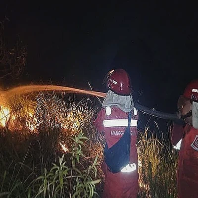 Manggala Agni Padamkan Karhutla di Riau, Waspada Harimau Sumatera di Lokasi
