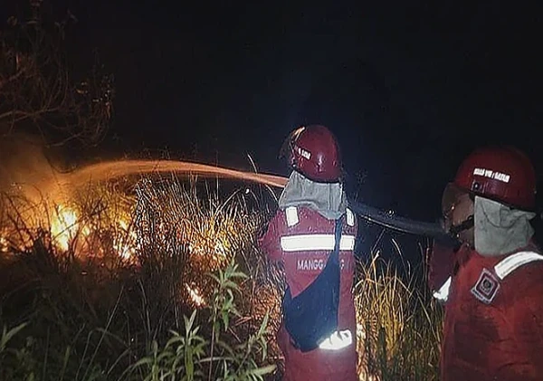 Manggala Agni Padamkan Karhutla di Riau, Waspada Harimau Sumatera di Lokasi
