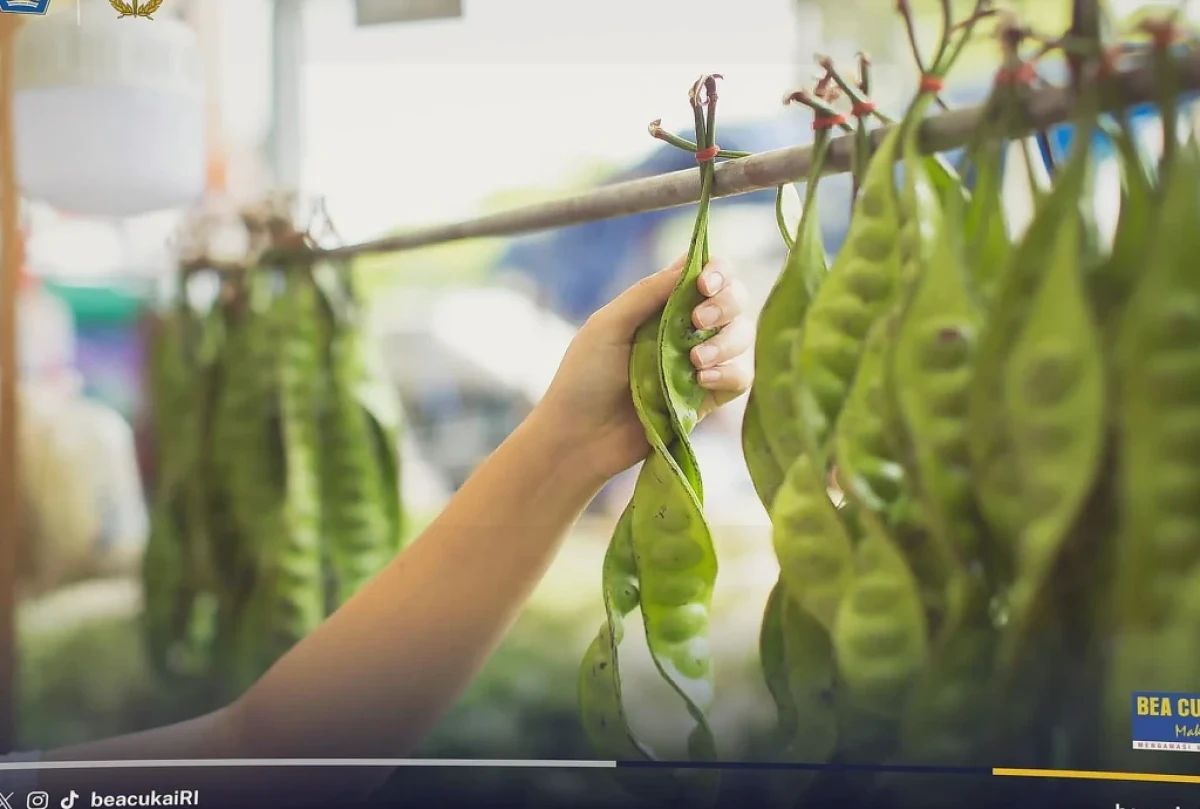 Bea Cukai Palembang Fasilitasi Ekspor 5,5 Ton Petai dari Petani Sumatra Selatan