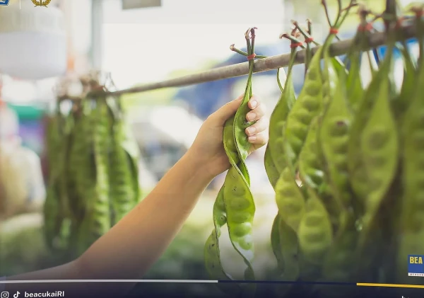 Bea Cukai Palembang Fasilitasi Ekspor 5,5 Ton Petai dari Petani Sumatra Selatan