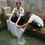 Lapas Medan Panen 300 Kg Kangkung Hidroponik dan Lepas 10.000 Bibit Ikan Nila