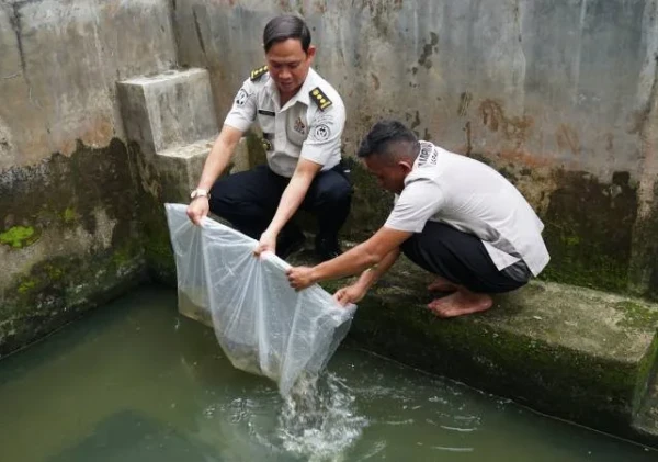 Lapas Medan Panen 300 Kg Kangkung Hidroponik dan Lepas 10.000 Bibit Ikan Nila