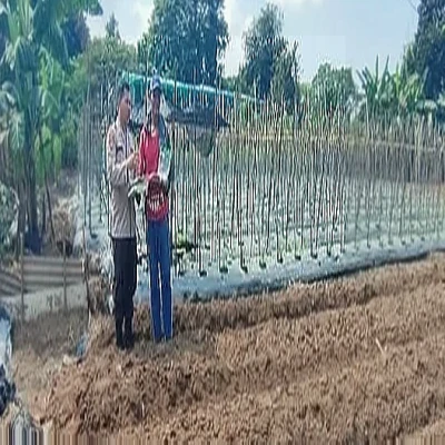 Bhabinkamtibmas Polsek Purwakarta Salurkan Bibit Jagung dan Cek Lahan di Cilegon