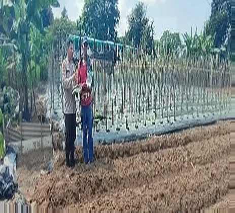 Bhabinkamtibmas Polsek Purwakarta Salurkan Bibit Jagung dan Cek Lahan di Cilegon