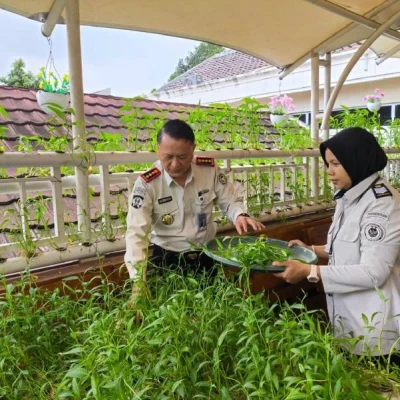 Bapas Jakarta Pusat Panen 7 Kilogram Kangkung, Wujudkan Kemandirian Pangan