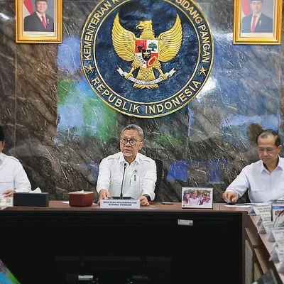 Pemerintah Akan Tetapkan Lahan Sawah Dilindungi di 12 Provinsi, Kewenangan Ditarik ke Pusat