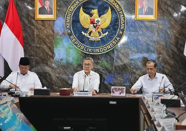 Pemerintah Akan Tetapkan Lahan Sawah Dilindungi di 12 Provinsi, Kewenangan Ditarik ke Pusat