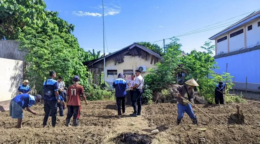Lapas Tolitoli Tanam Sawi di Lahan 324 Meter Persegi, Bekali Warga Binaan Keterampilan