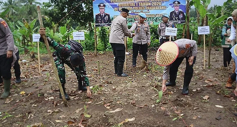 Polres Pandeglang Tanam Jagung Serentak di Kalanganyar Dukung Ketahanan Pangan Nasional
