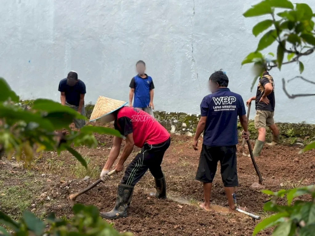 Lapas Narkotika Karang Intan Libatkan Warga Binaan Garap Lahan Kangkung