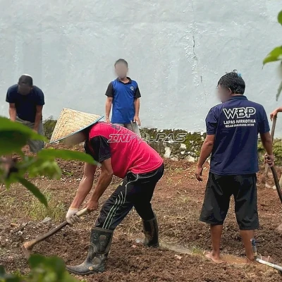 Lapas Narkotika Karang Intan Libatkan Warga Binaan Garap Lahan Kangkung