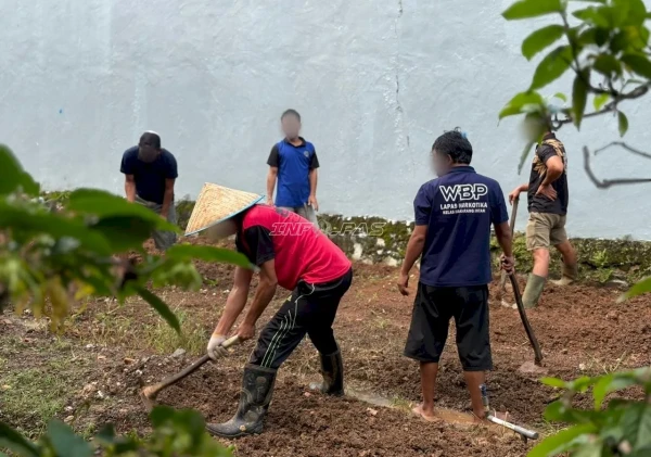 Lapas Narkotika Karang Intan Libatkan Warga Binaan Garap Lahan Kangkung