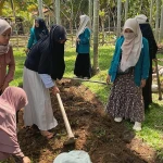 Mahasiswa UIN Lhokseumawe Tanam Apotek Hidup dan Sayuran di Desa Kuala Kereutou