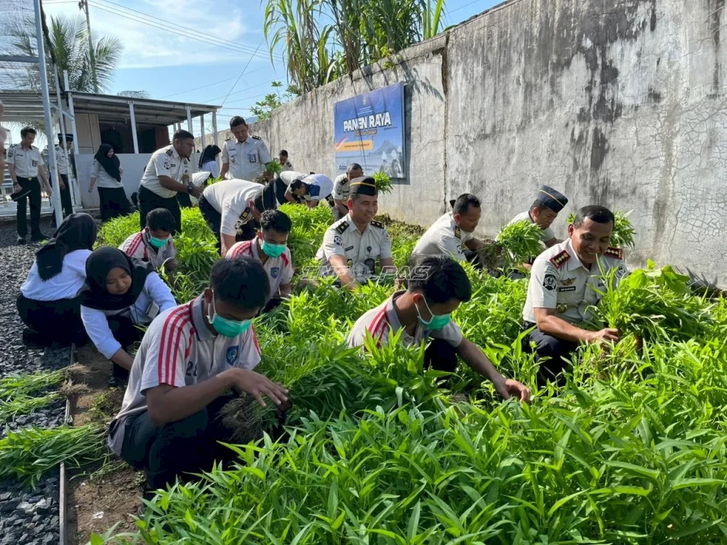 LPKA Martapura Panen Kangkung Ketiga Kali, Bukti Konsistensi Pembinaan Anak Binaan