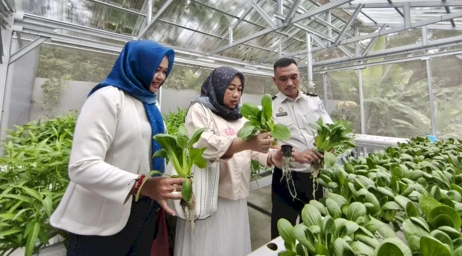 IWAPI Belitung Apresiasi Program Hidroponik Bapas Tanjungpandan, Dorong Klien Mandiri