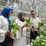 IWAPI Belitung Apresiasi Program Hidroponik Bapas Tanjungpandan, Dorong Klien Mandiri