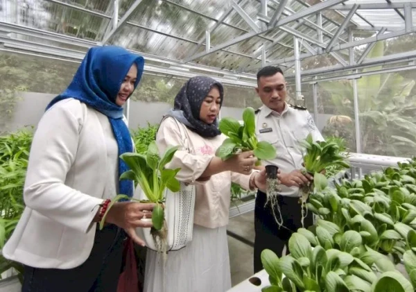 IWAPI Belitung Apresiasi Program Hidroponik Bapas Tanjungpandan, Dorong Klien Mandiri