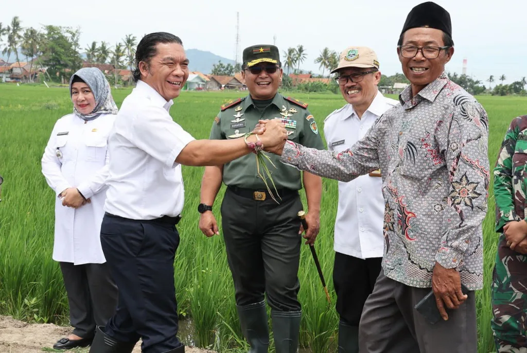 Pj Gubernur Banten Al Muktabar Panen Bawang Merah Bersama Danrem 064/MY dan Para Petani