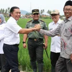Pj Gubernur Banten Al Muktabar Panen Bawang Merah Bersama Danrem 064/MY dan Para Petani