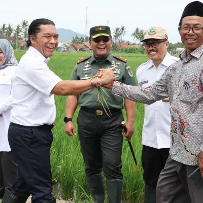 Pj Gubernur Banten Al Muktabar Panen Bawang Merah Bersama Danrem 064/MY dan Para Petani