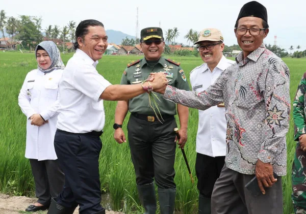 Pj Gubernur Banten Al Muktabar Panen Bawang Merah Bersama Danrem 064/MY dan Para Petani