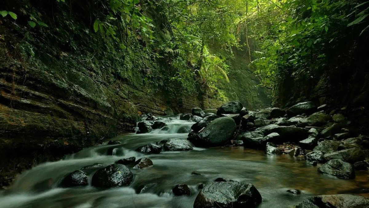 Curug Putri: Permata Tersembunyi di Banten dan Destinasi Wisata Baru 2024 yang Menakjubkan