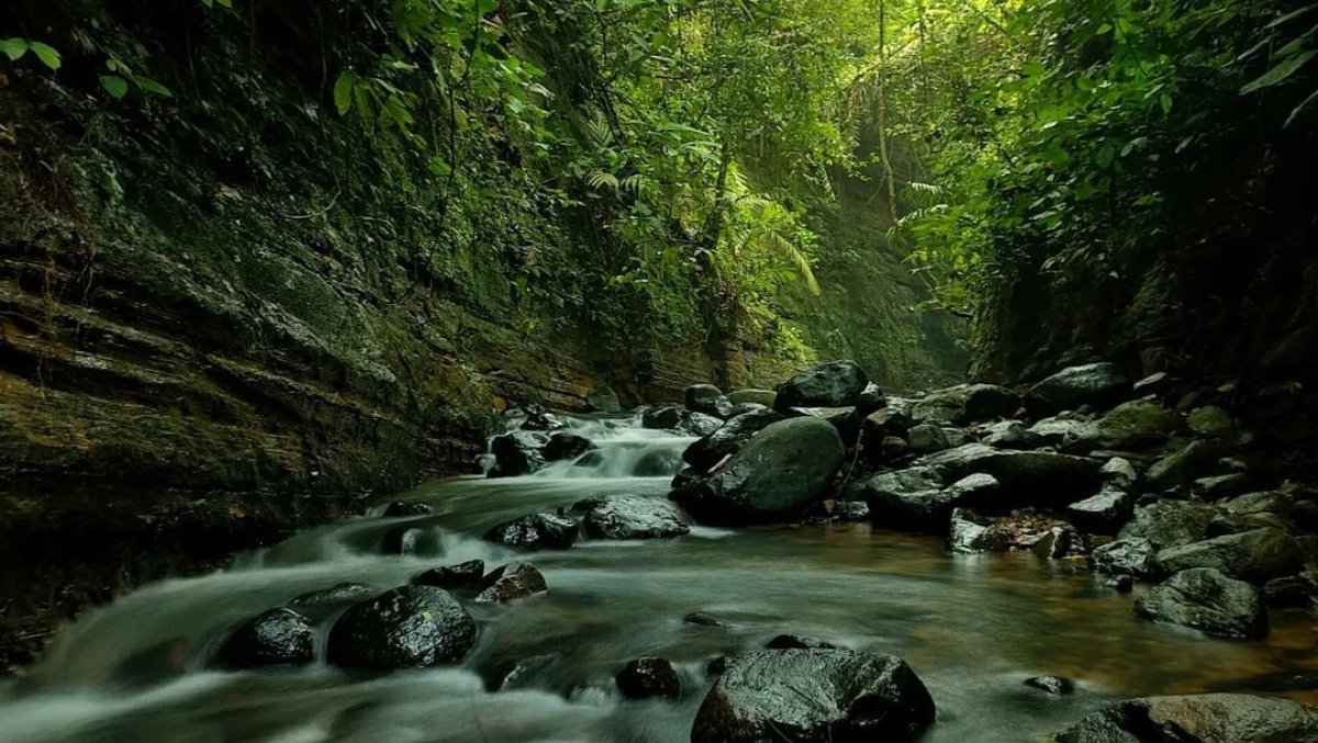 Curug Putri: Permata Tersembunyi di Banten dan Destinasi Wisata Baru 2024 yang Menakjubkan