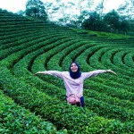 Mengenal Wisata Kebun Teh Cikuya, Tempat Asal Teh Terbaik Dunia yang Berada di Banten