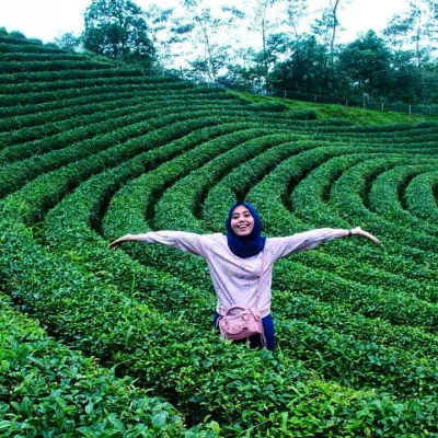 Mengenal Wisata Kebun Teh Cikuya, Tempat Asal Teh Terbaik Dunia yang Berada di Banten
