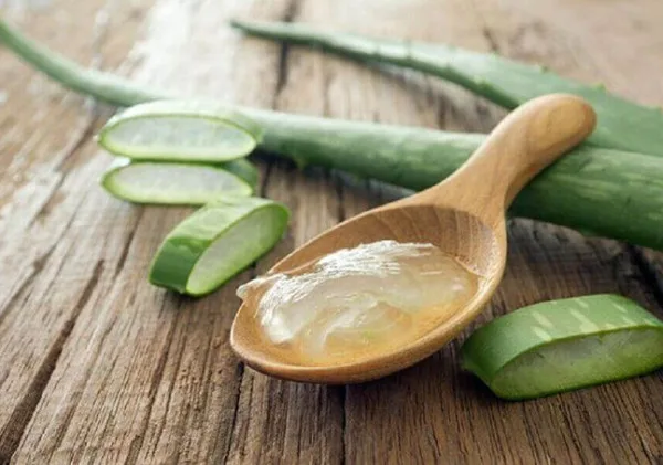 Tak Hanya untuk Rambut, Ini Deretan Manfaat Lidah Buaya bagi Kesehatan dan Kecantikan