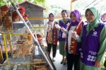 Ketua Tim Pembina Posyandu Provinsi Banten Tekankan Peran Posyandu dalam Pelayanan Kesehatan