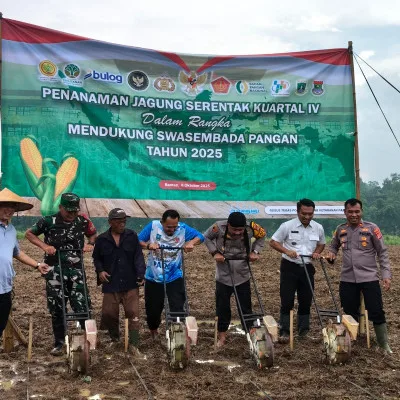 Kapolres Serang Lanjutkan Program Ketahanan Pangan dengan Tanam Jagung di Rancasumur