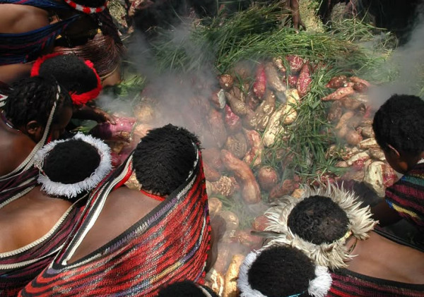 Upacara Bakar Batu di Papua, Simbol Persatuan dan Kebersamaan