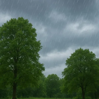 Sebagian Besar Wilayah Banten Diguyur Hujan Ringan, BMKG Imbau Warga Waspada Perubahan Cuaca