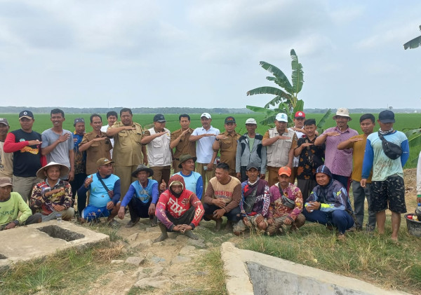 Bahagianya Petani Cikeusik, Padinya Terselamatkan Berkat Pompanisasi