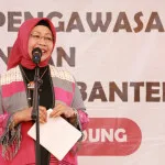 APIP Harus Berperan Dalam Percepatan Pembangunan Daerah