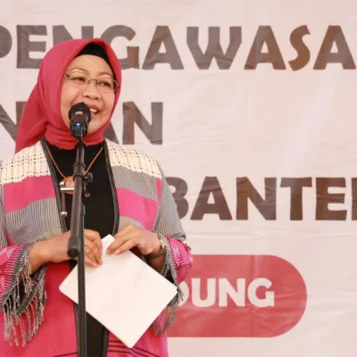 APIP Harus Berperan Dalam Percepatan Pembangunan Daerah