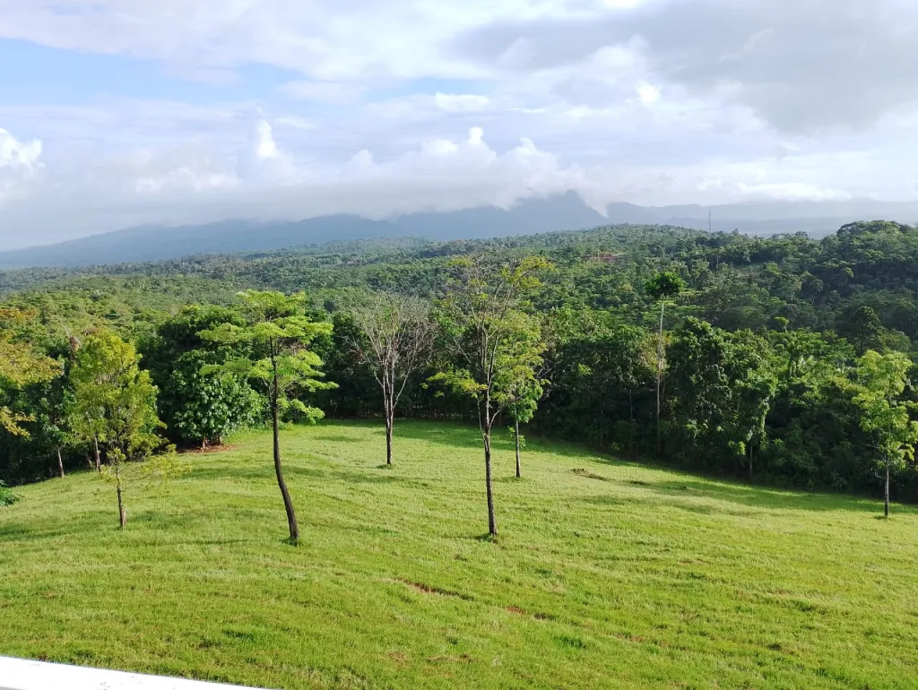 Berbagai Hal yang bisa Kamu dapatkan Ketika berkunjung Ke Agro Wisata Bukit Waruwangi