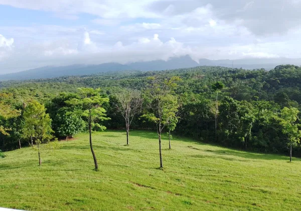 Berbagai Hal yang bisa Kamu dapatkan Ketika berkunjung Ke Agro Wisata Bukit Waruwangi