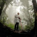 Cara Membedakan Hutan yang Aman dan Berbahaya