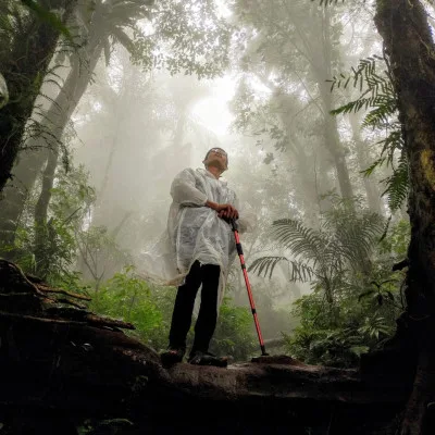 Cara Membedakan Hutan yang Aman dan Berbahaya
