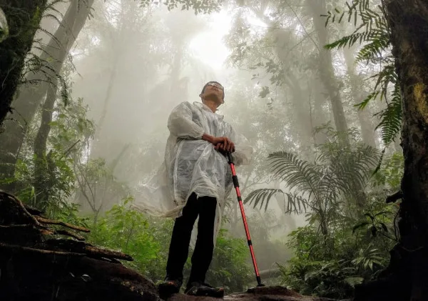 Cara Membedakan Hutan yang Aman dan Berbahaya