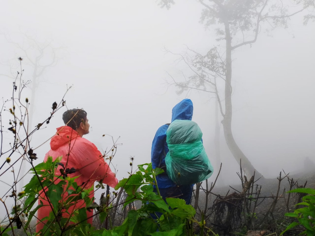 Perbedaan Hiking dan Trekking yang Sering Dianggap Sama