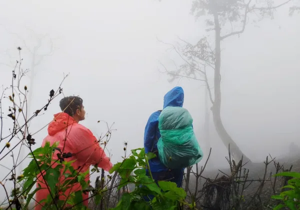 Perbedaan Hiking dan Trekking yang Sering Dianggap Sama