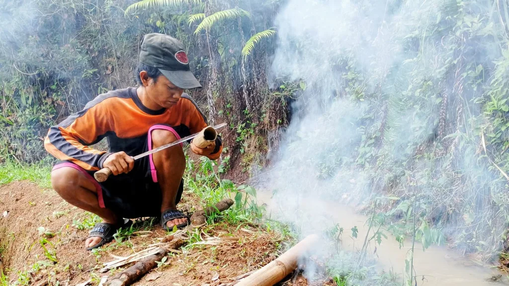 Trik Bertahan Hidup Di Hutan: Membuat Gelas Darurat dari Bambu
