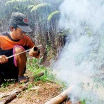 Trik Bertahan Hidup Di Hutan: Membuat Gelas Darurat dari Bambu